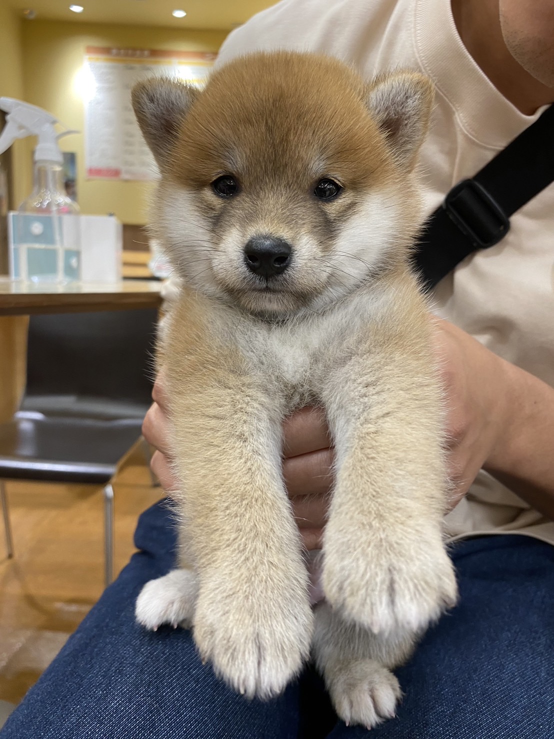 はじめまして