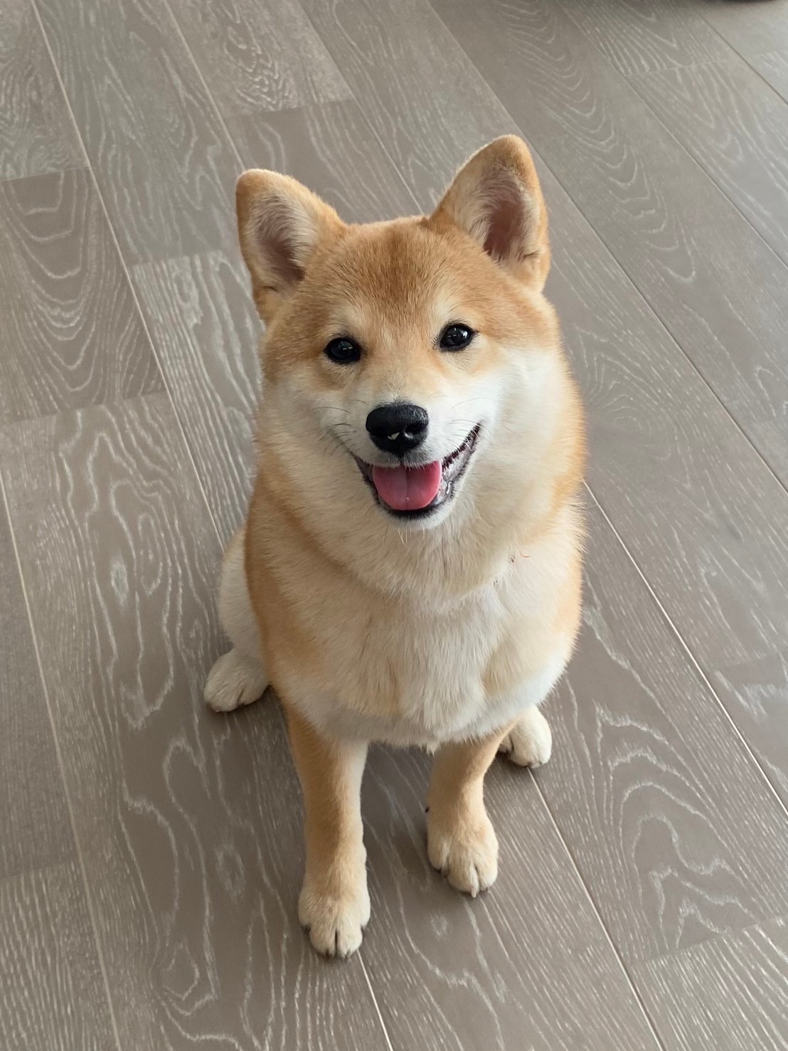 ニコニコすず