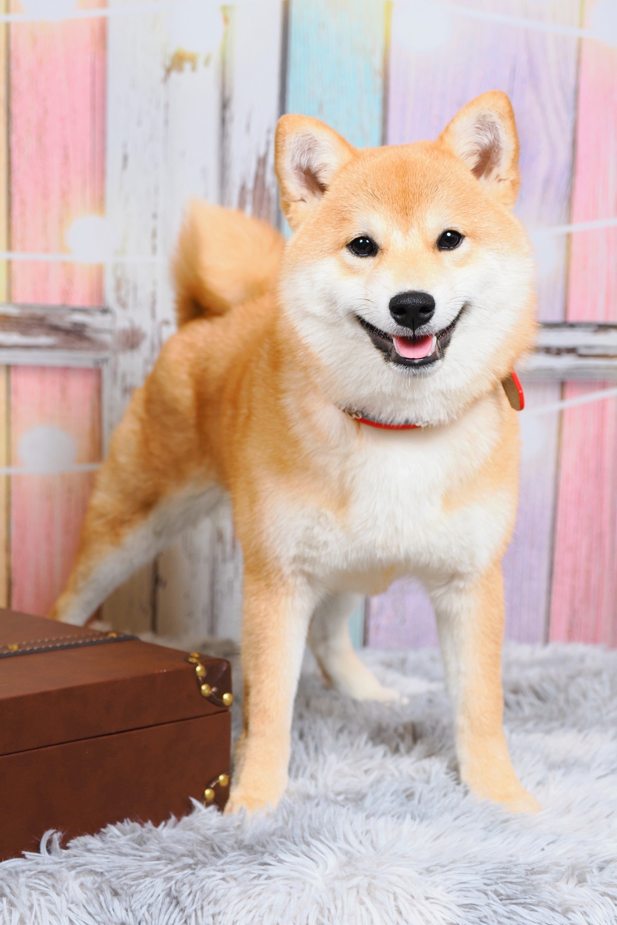 キメ顔のすず