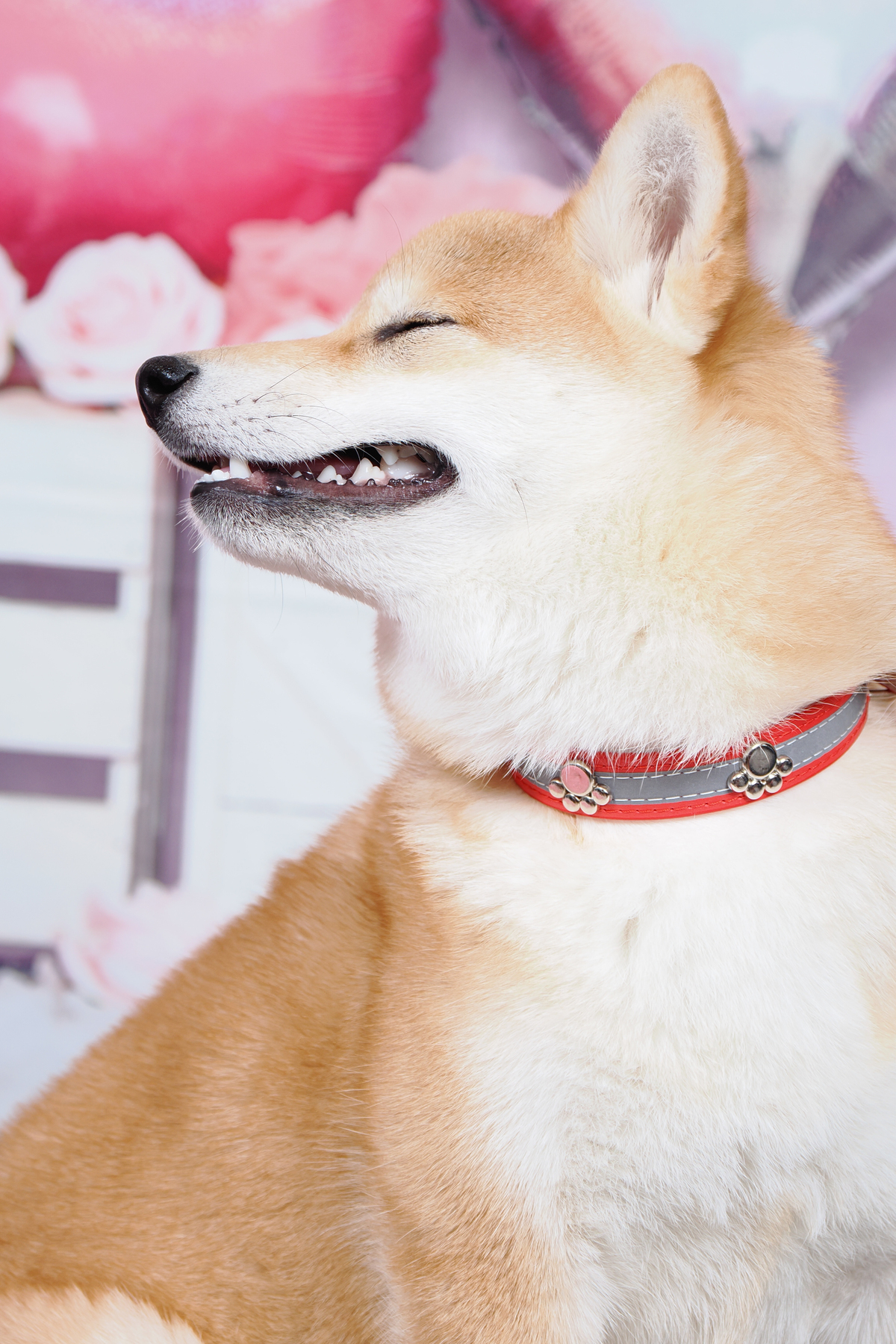 笑顔全開のすず