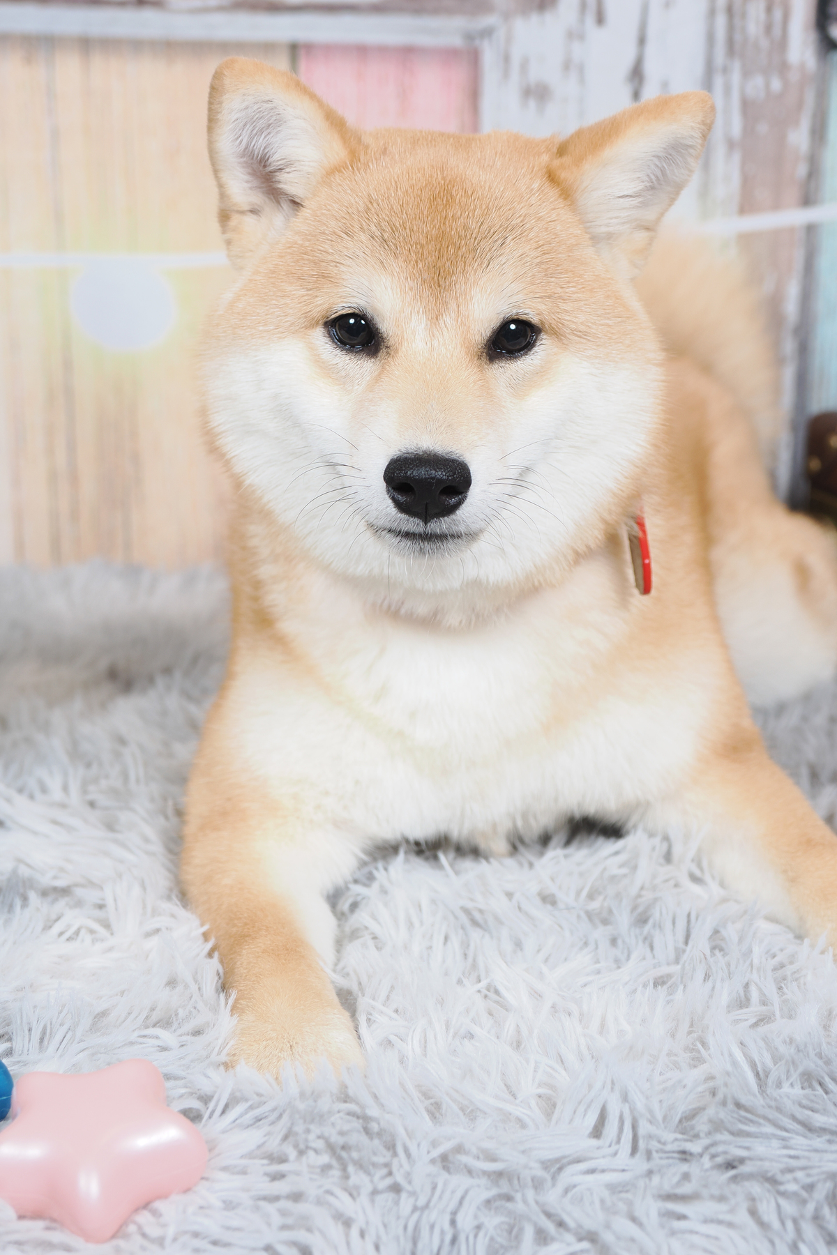 緊張してます