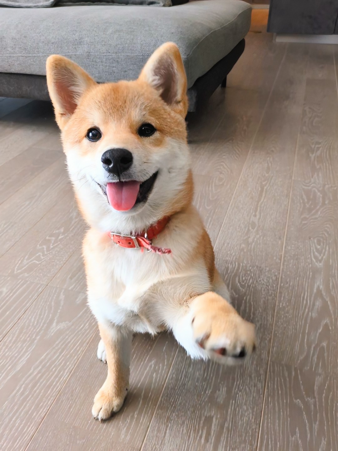 お手のすず