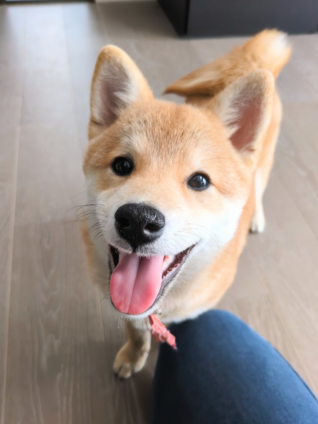 見上げるすず