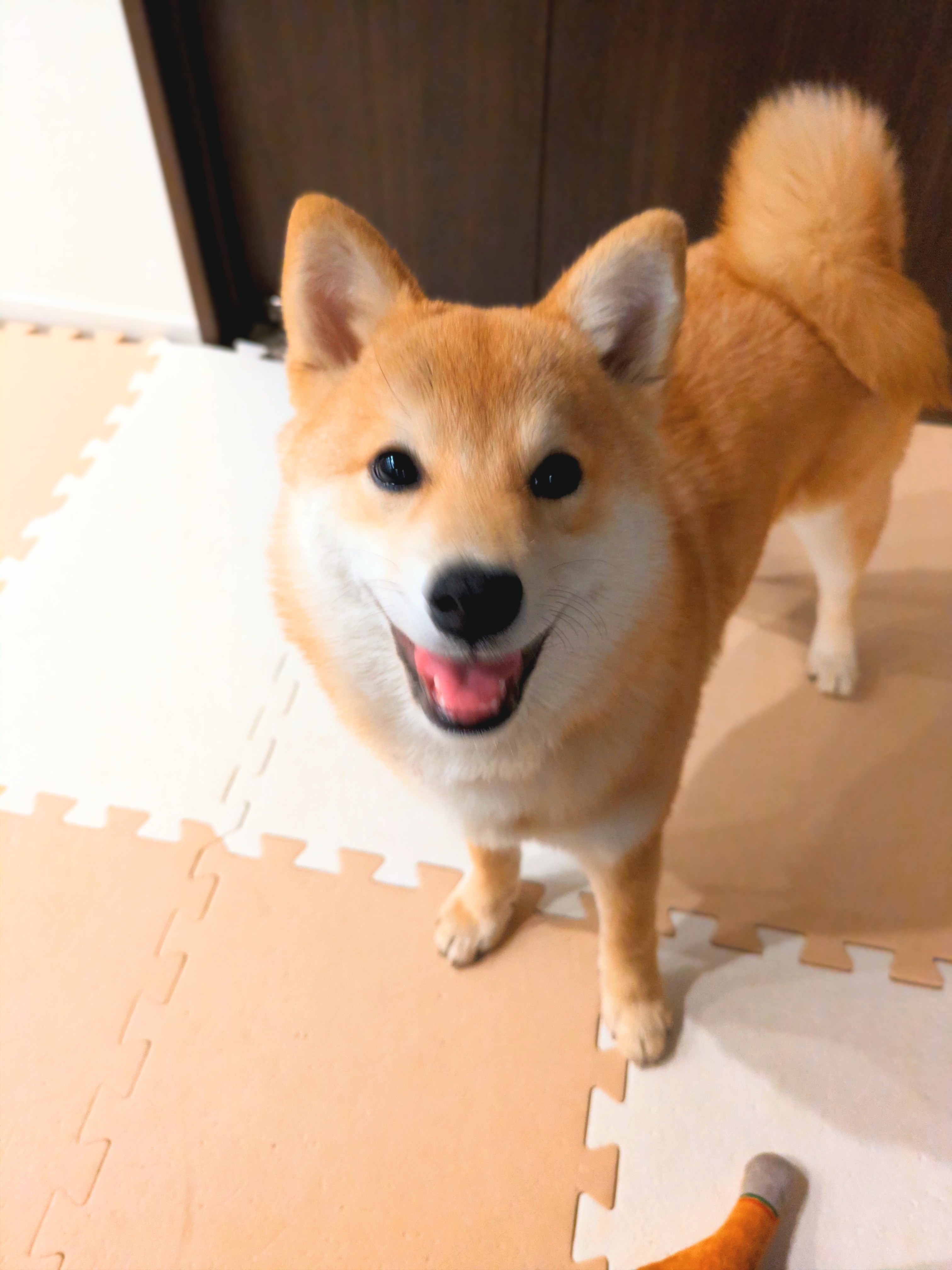 満面の笑みのすず