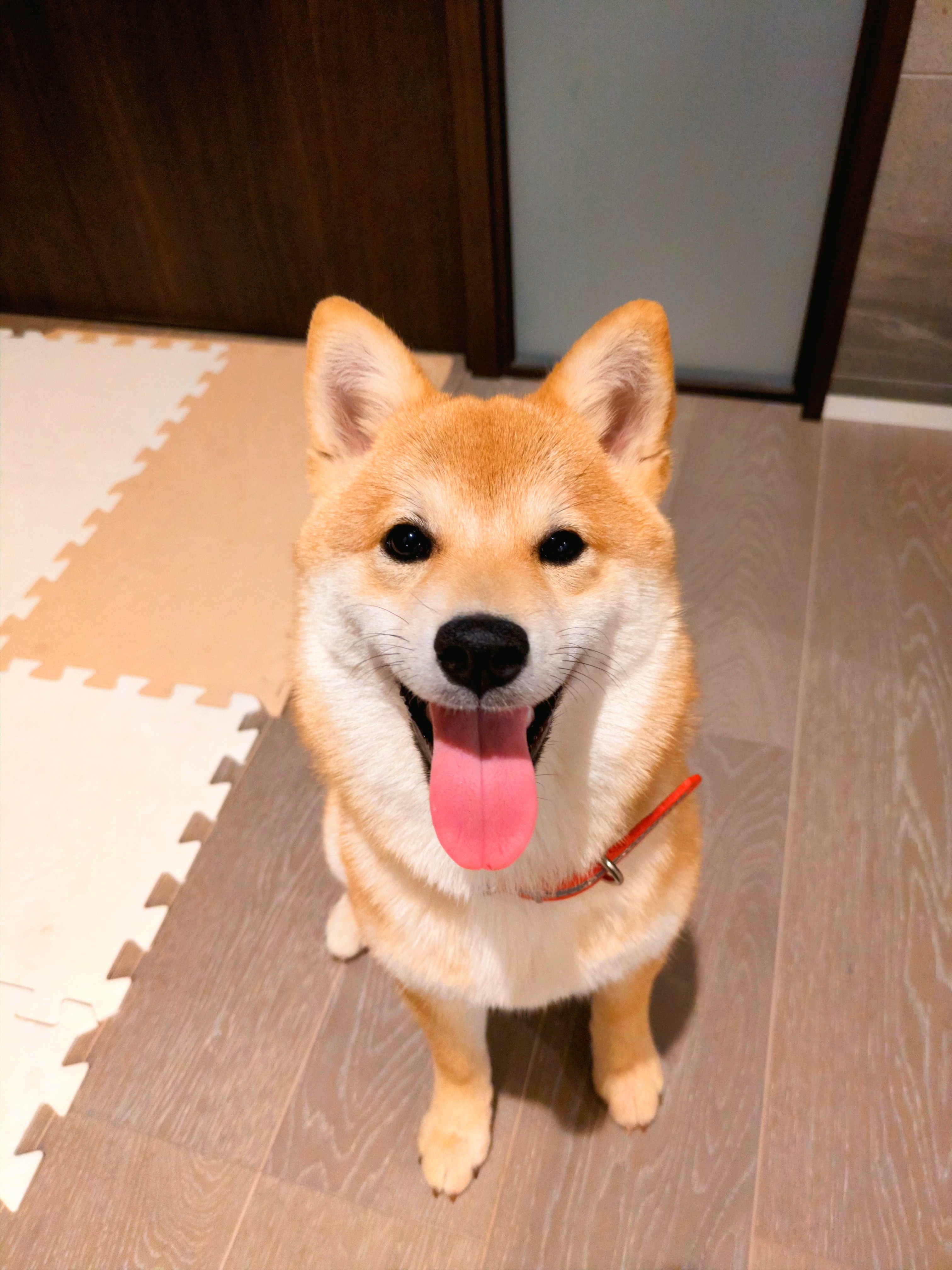 ドヤ顔のすず
