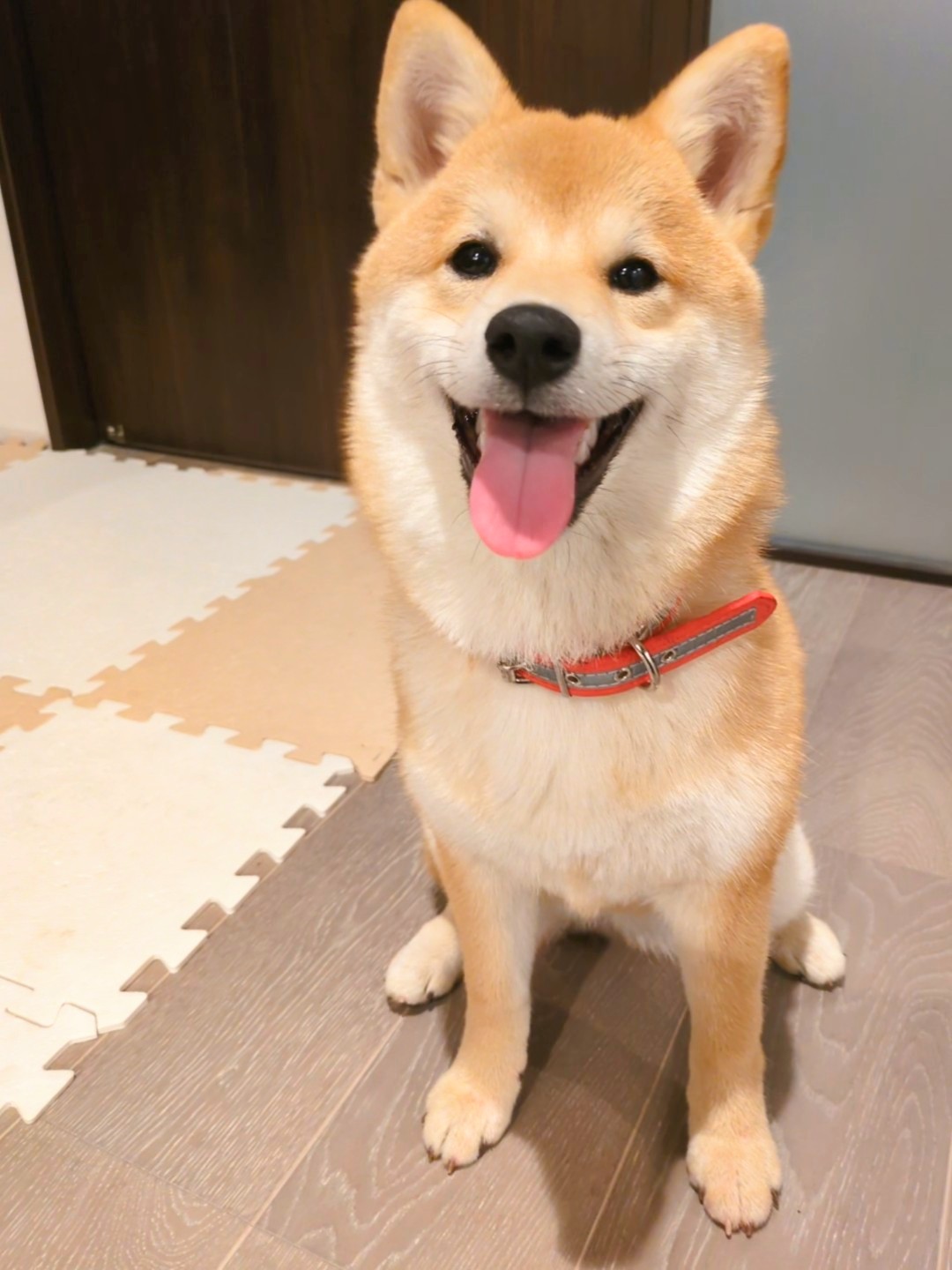 すず