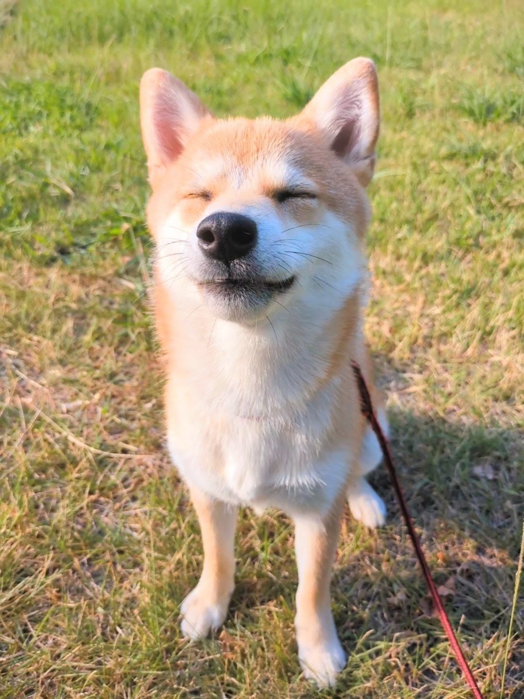 目を細めてにっこりのすず