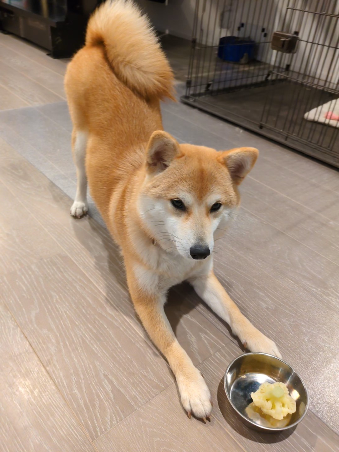 おじぎポーズのすず