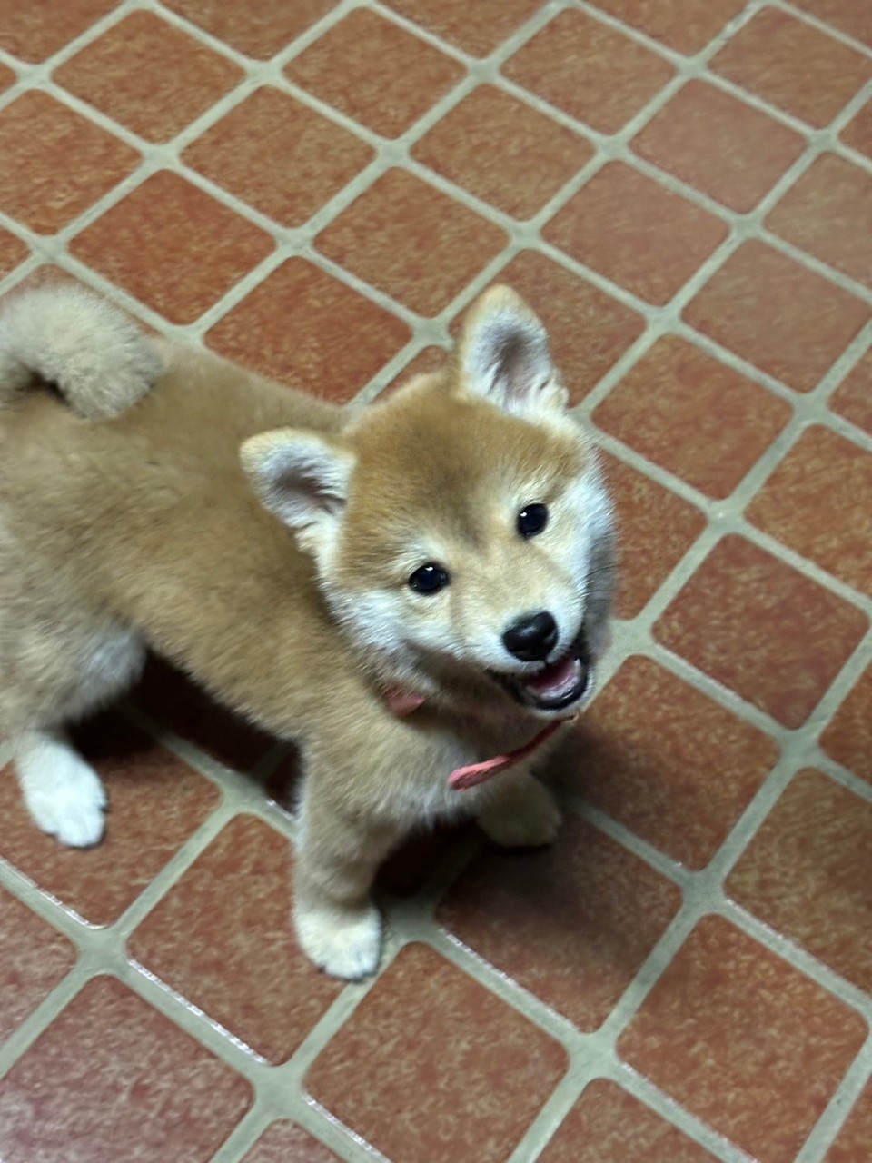 はじめてのご対面、笑顔がかわいい