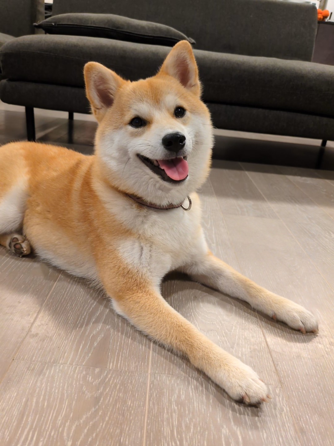 室内で笑顔のすず
